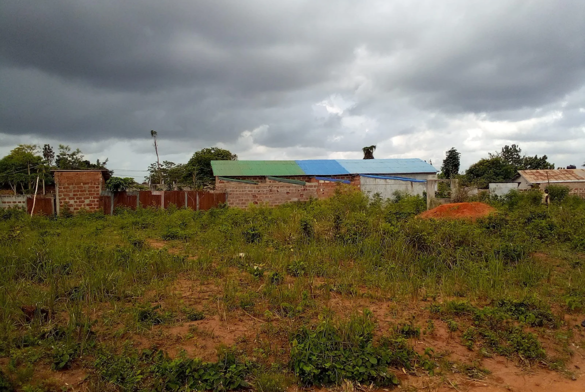 Domaine de 2292M² avec TF à vendre Calavi Ouèdo