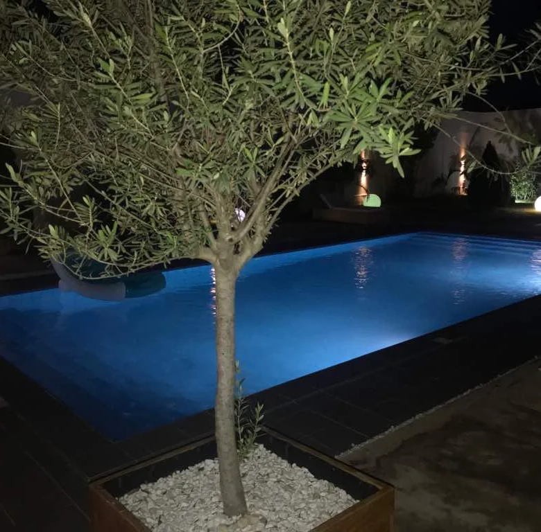 Villa meublée avec piscine à louer à Fidjrossè - BENIN-IMMO