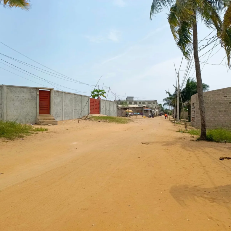 À Vendre : Parcelle à Togbin Zone 2 - BENIN-IMMO