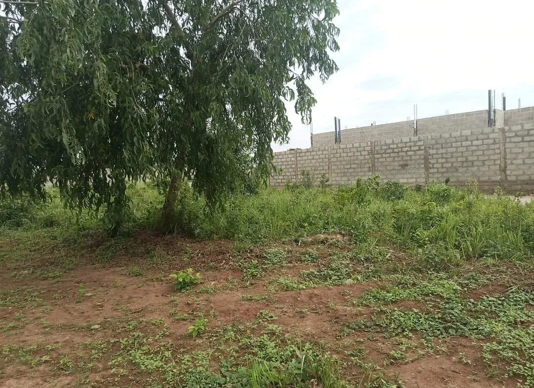 Parcelle en Angle de Rue de 400M² à Vendre à Calavi Togba - BENIN-IMMO
