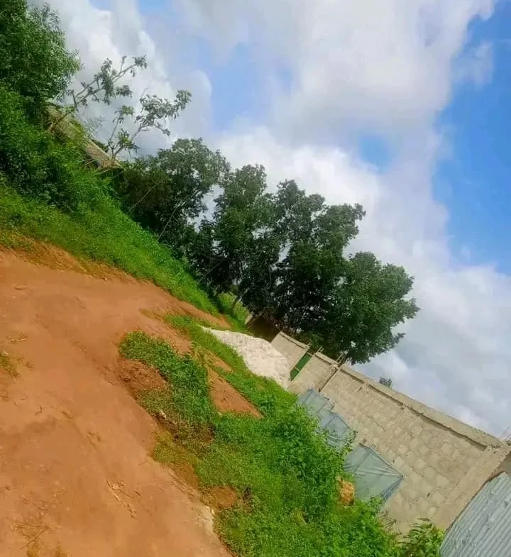 2 Parcelles ensembles sur TF à vendre à Calavi Togba - BENIN-IMMO
