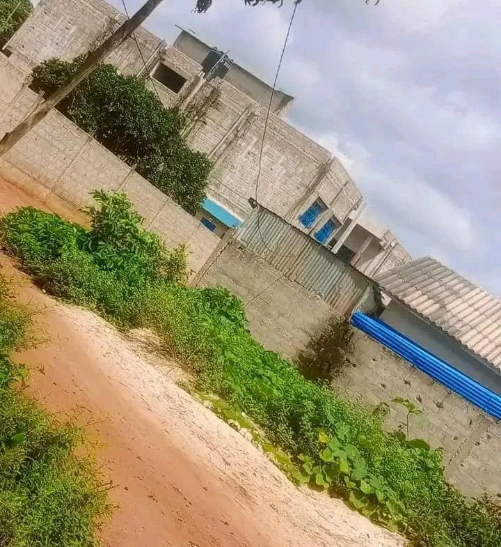 2 Parcelles ensembles sur TF à vendre à Calavi Togba - BENIN-IMMO