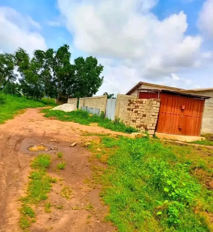 2 Parcelles ensembles sur TF à vendre à Calavi Togba - BENIN-IMMO