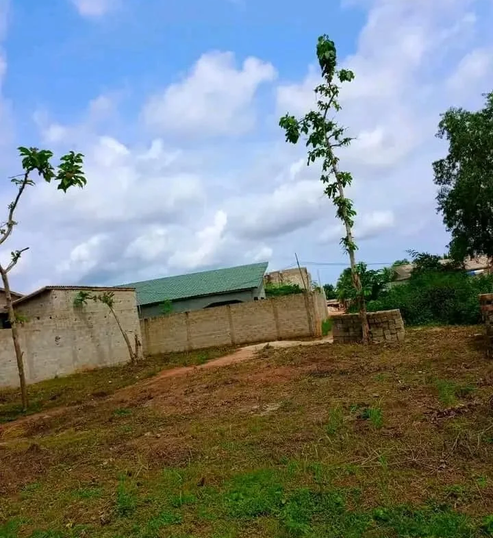 2 Parcelles ensembles sur TF à vendre à Calavi Togba - BENIN-IMMO
