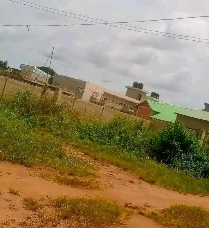 2 Parcelles ensembles sur TF à vendre à Calavi Togba - BENIN-IMMO