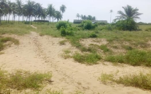 Domaine de 8 hectares avec titre foncier à vendre à Ouidah plag