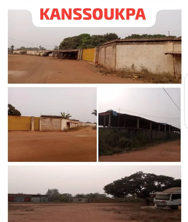 Domaine à vendre à Kanssoukpa Abomey-Calavi avec Titre Foncier - BENIN-IMMO