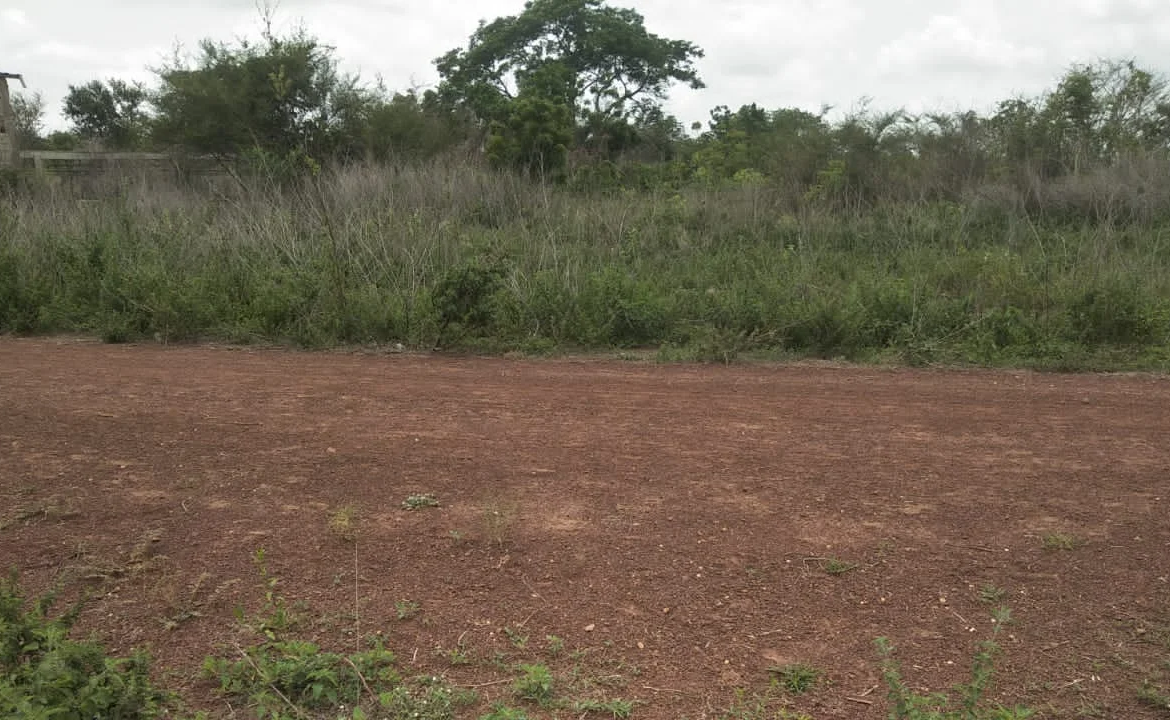 Domaine de 52 Hectares à vendre à Djidja, Prêt pour l'Agriculture