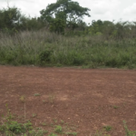 Domaine de 52 Hectares à vendre à Djidja, Prêt pour l'Agriculture
