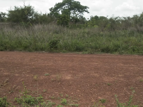 Domaine de 52 Hectares à vendre à Djidja, Prêt pour l'Agriculture
