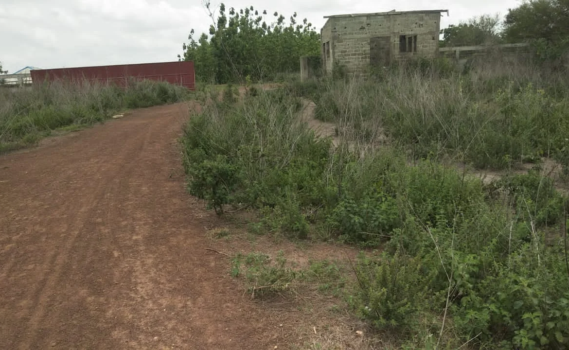 Domaine de 52 Hectares à vendre à Djidja, Prêt pour l'Agriculture - BENIN-IMMO