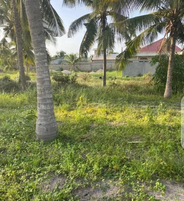 Parcelles à Vendre à Pahou Kpota - BENIN-IMMO