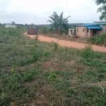 Parcelles à Vendre à Tori Avamey