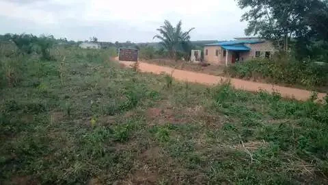 Parcelles à Vendre à Tori Avamey