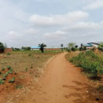 À VENDRE : Domaine d’un hectare à Calavi Zinvié-Gbodjoko