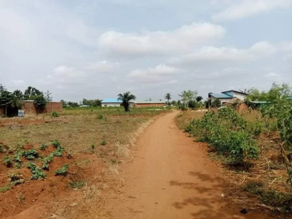 À VENDRE : Domaine d’un hectare à Calavi Zinvié-Gbodjoko