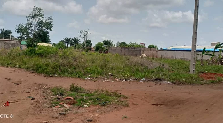 À VENDRE : Parcelles viabilisées à Awaké (Maria Gléta) Calavi - BENIN-IMMO