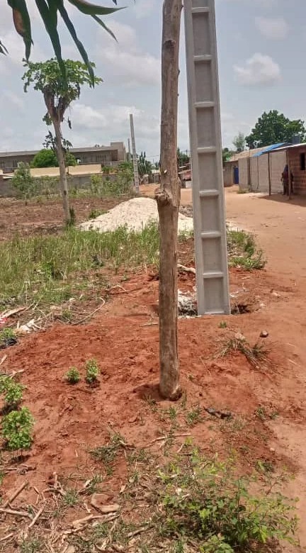 À VENDRE : Parcelles viabilisées à Awaké (Maria Gléta) Calavi - BENIN-IMMO