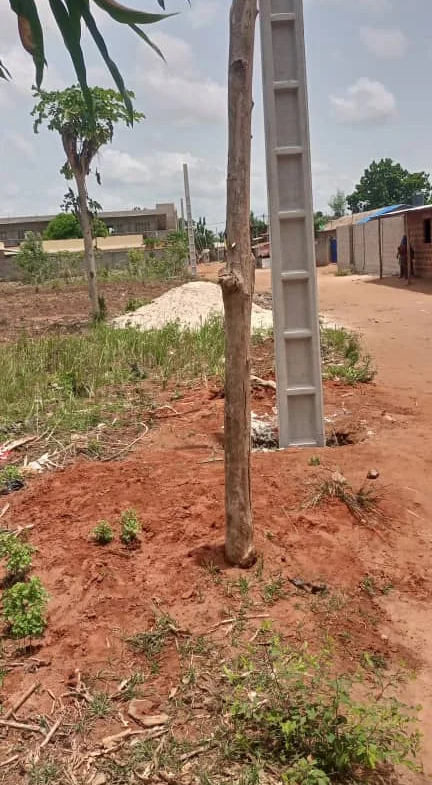 À VENDRE : Parcelles viabilisées à Awaké (Maria Gléta) Calavi - BENIN-IMMO