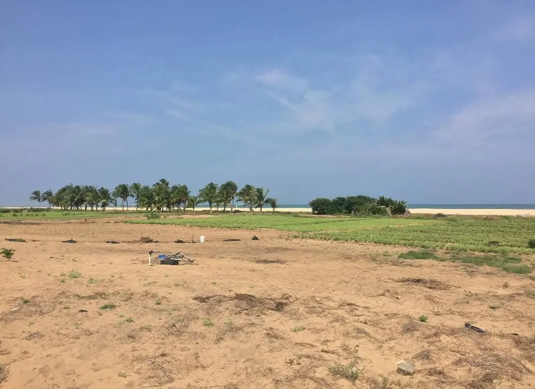 Domaine d'exception à vendre à Grand-Popo -2500M2