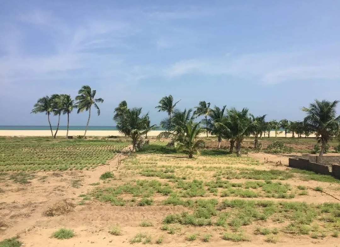 Domaine d'exception à vendre à Grand-Popo -2500M2 - BENIN-IMMO