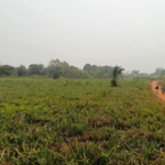 Domaine d’un hectare à Ouèdo, Abomey-Calavi