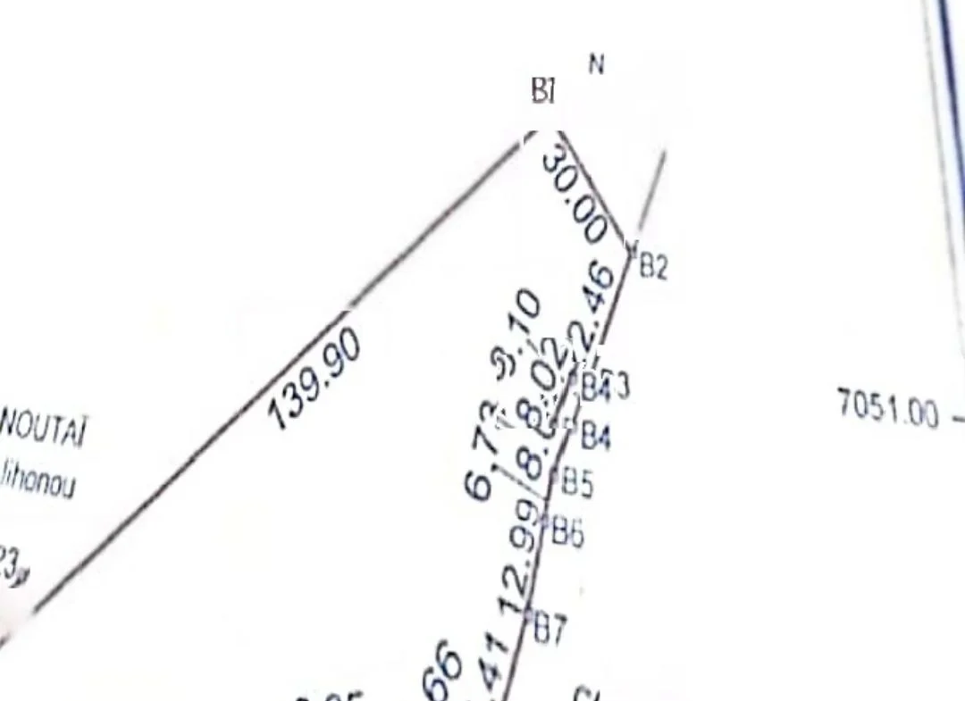 Opportunité rare - Domaine d’un hectare à Ouèdo, Abomey-Calavi - BENIN-IMMO