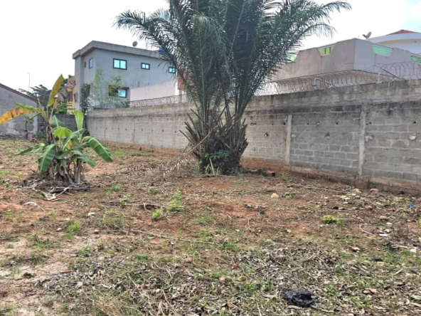 Parcelle de 545 m² à vendre à Zopah