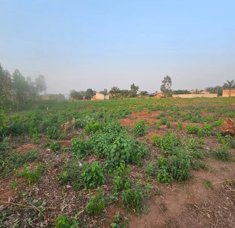 Vente Promotionnelle de Parcelles à Calavi Togba - BENIN-IMMO