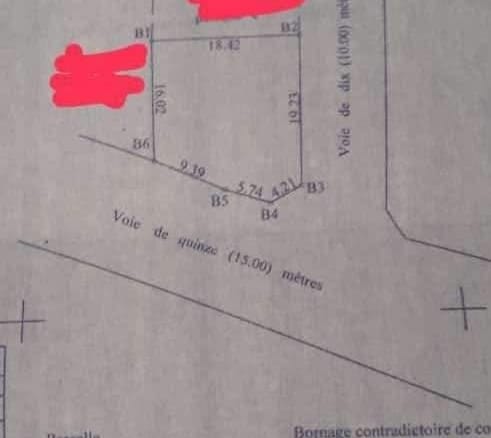 491