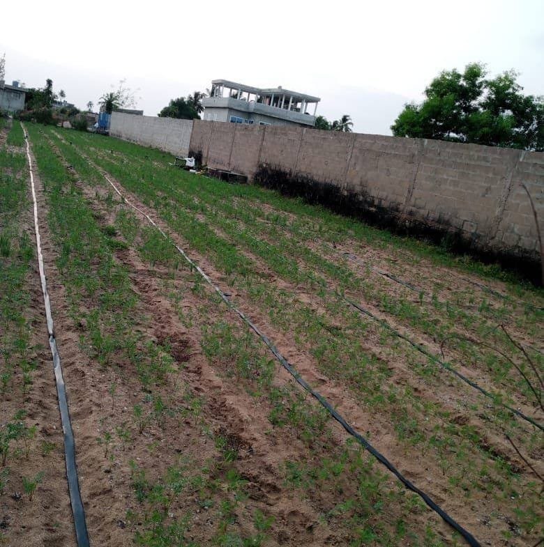 Parcelle à vendre Fidjrossè Togbin Zone 3 - Benin Immo