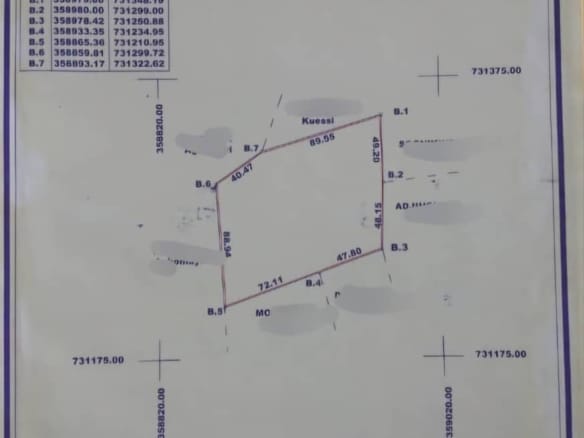 Vente d'un domaine d'un hectare à Lokossa