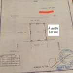 Grande Parcelle de 500 m² à Vendre à Fidjrossè Cotonou