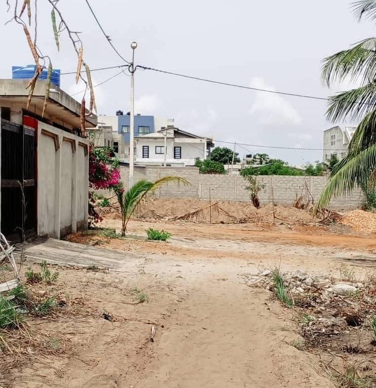 Parcelle à Vendre à Togbin Daho Zone 5 – Proche Route des Pêches - BENIN-IMMO