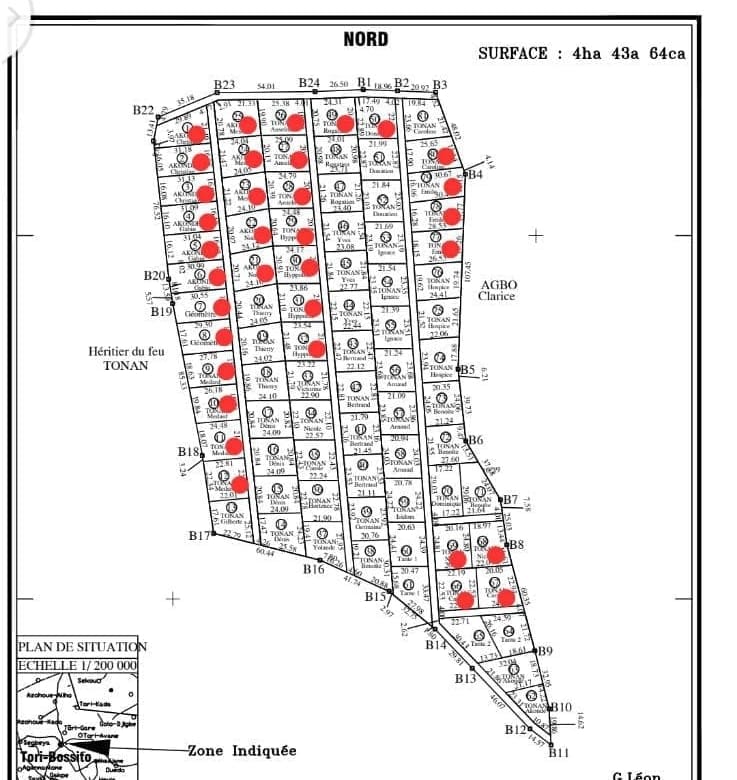 Parcelles morcelées de 500m2 à vendre à Tori Bossito - Benin Immo