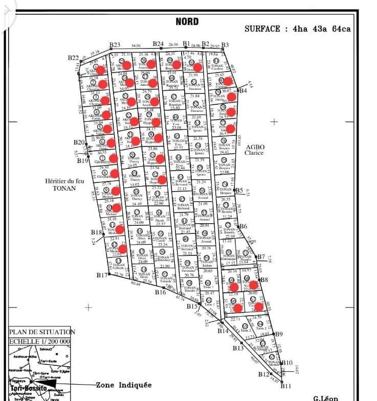 Parcelles morcelées de 500m2 à vendre à Tori Bossito - Benin Immo
