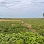 Demi-hectare au bord de mer à vendre à Grand-Popo Agoué