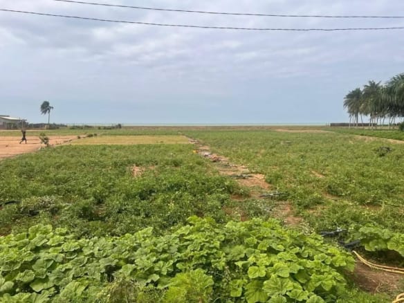Demi-hectare au bord de mer à vendre à Grand-Popo Agoué