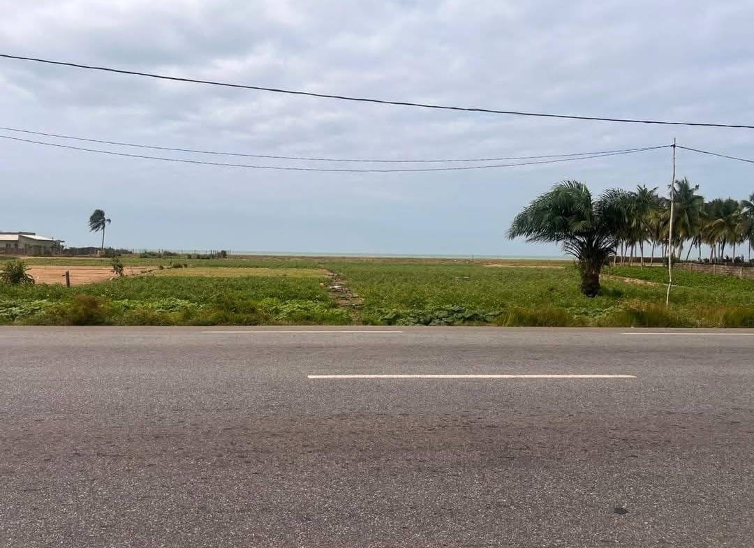 Demi-hectare au bord de mer à vendre à Grand-Popo Agoué - BENIN-IMMO