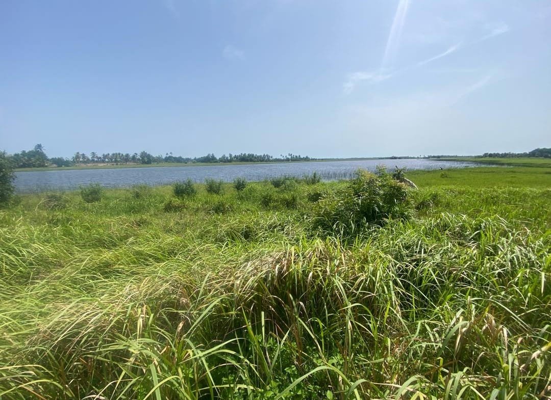 Domaine en Bord de Lagune à Vendre à Avlékété