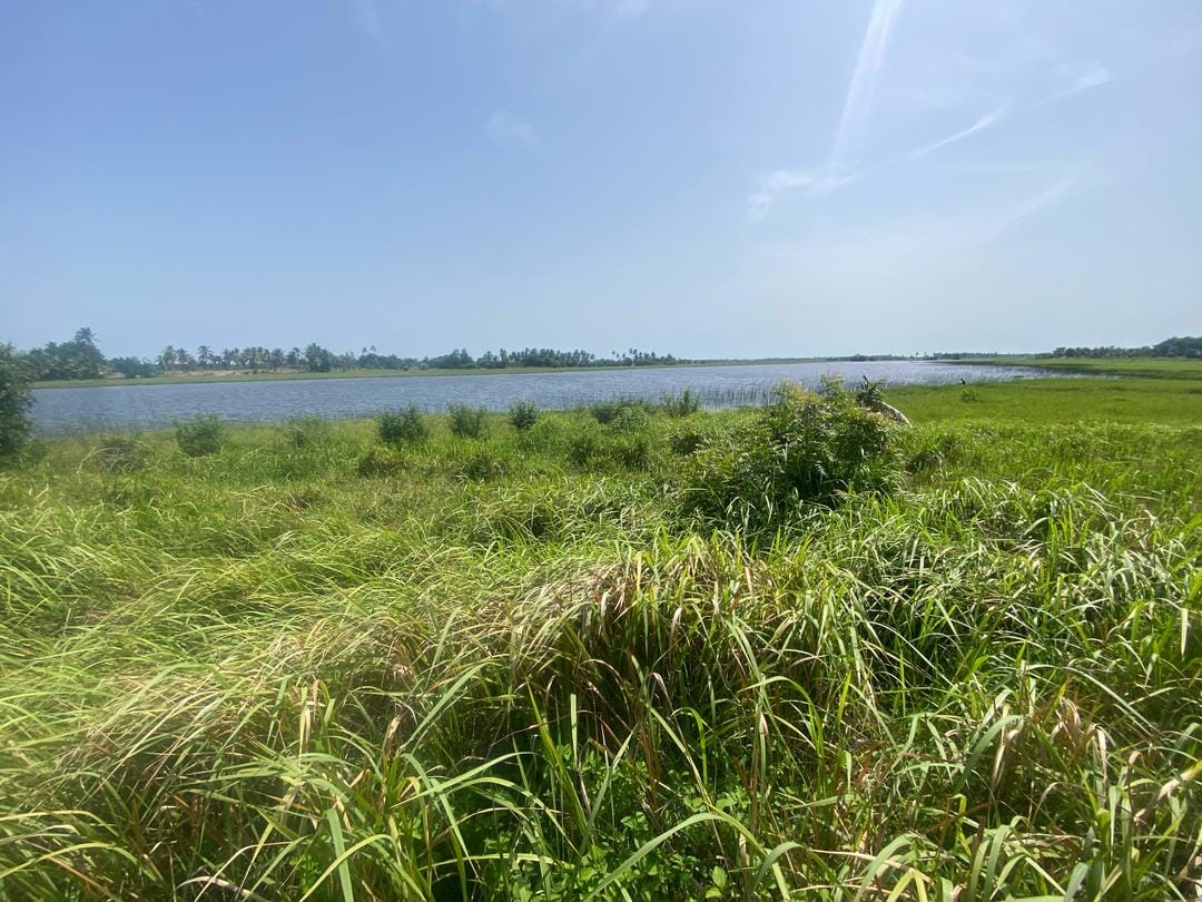 Domaine en Bord de Lagune à Vendre à Avlékété