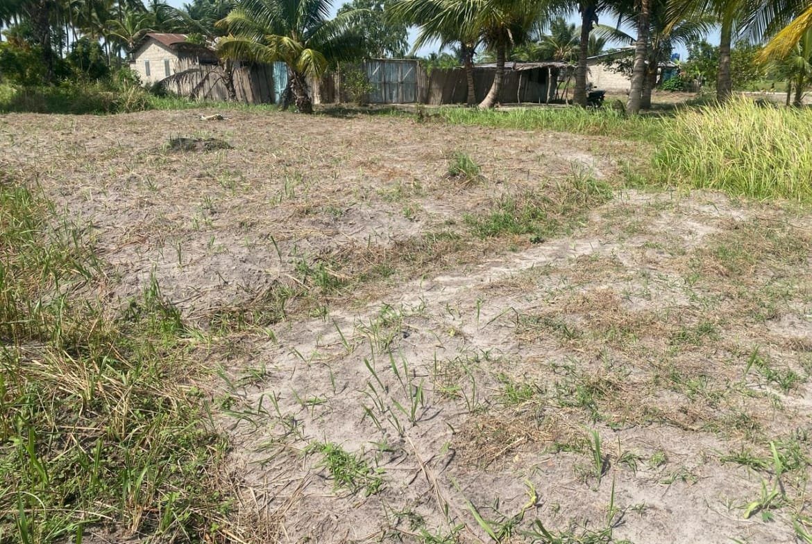 Domaine en Bord de Lagune à Vendre à Avlékété_1