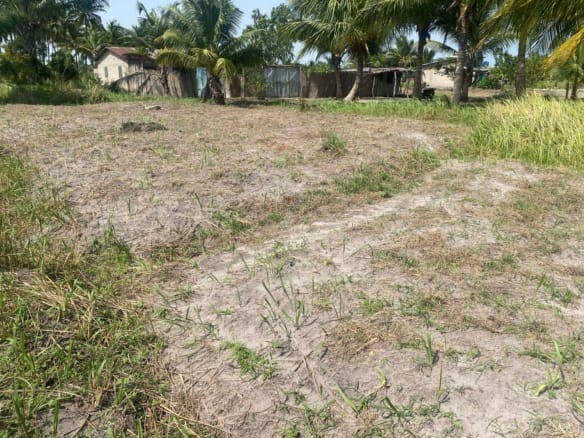Domaine en Bord de Lagune à Vendre à Avlékété_1