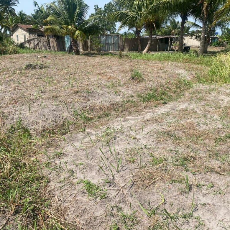 Domaine en Bord de Lagune à Vendre à Avlékété_1