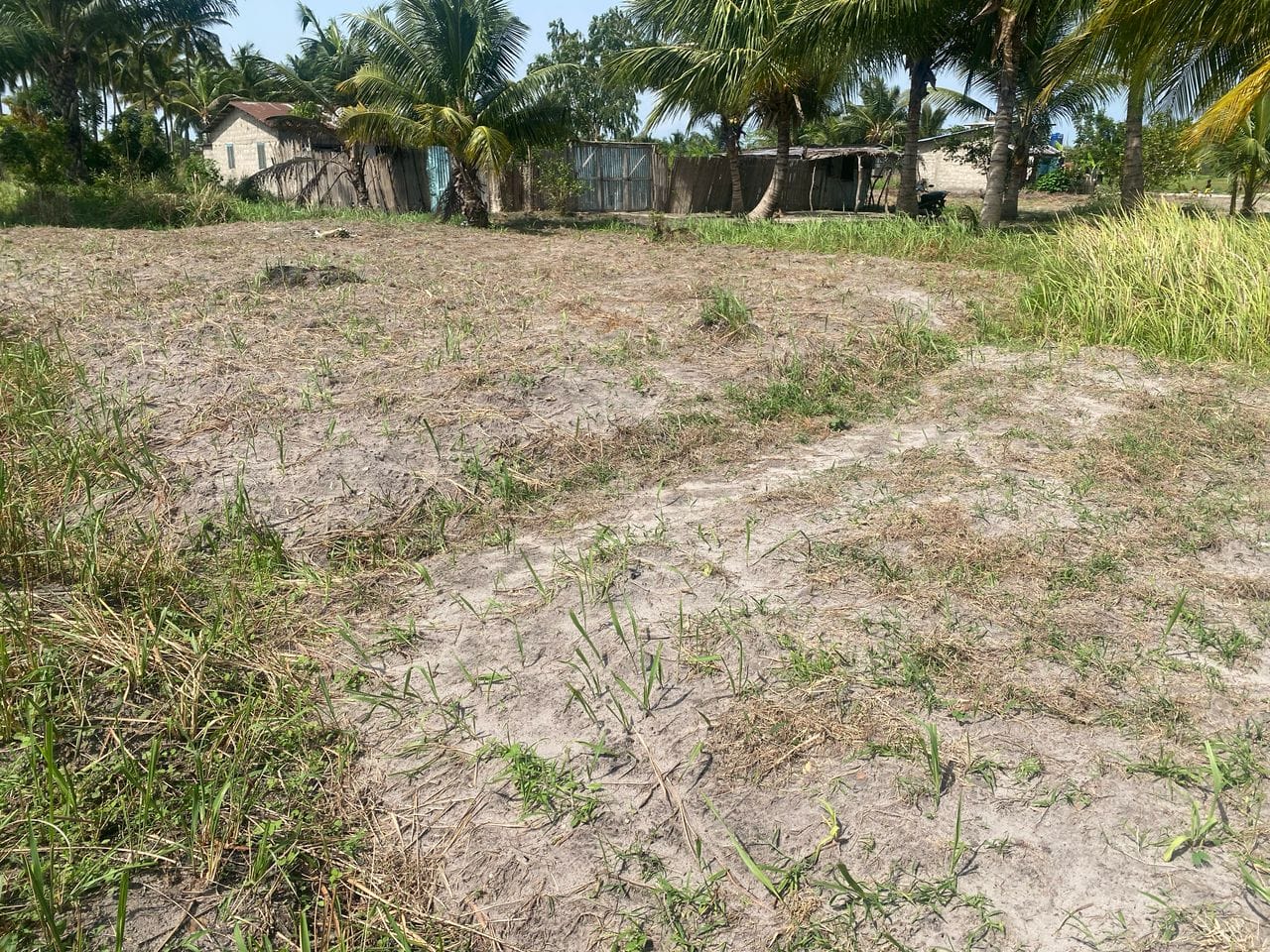 Domaine en Bord de Lagune à Vendre à Avlékété_1