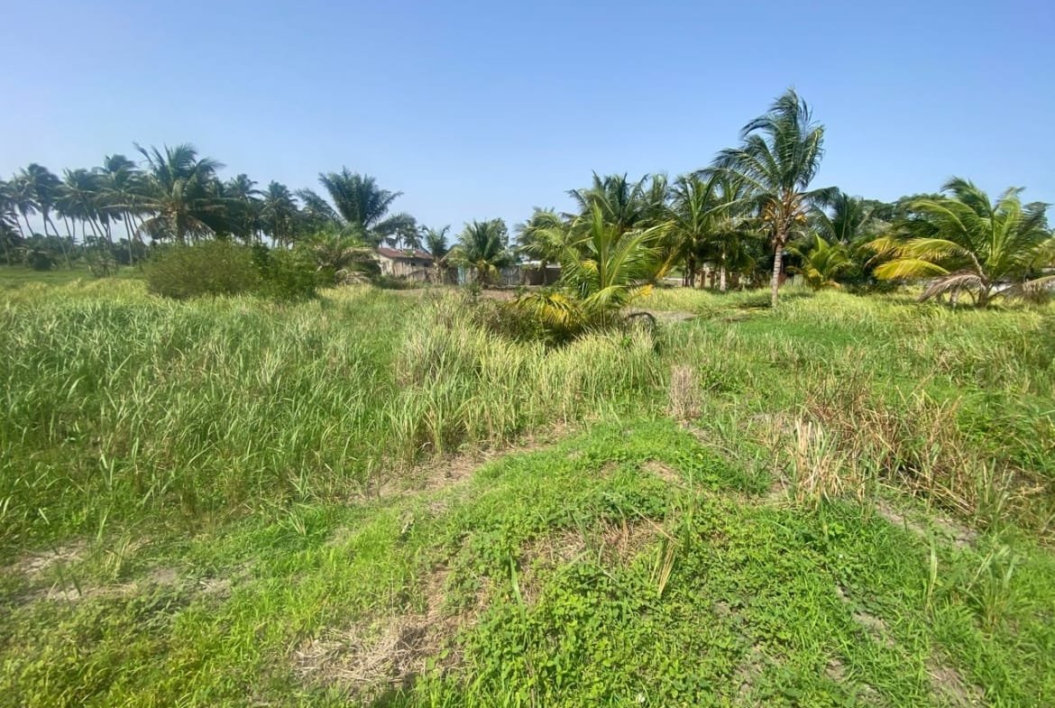 Domaine en Bord de Lagune à Vendre à Avlékété_13