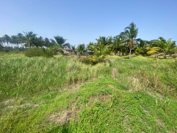 Domaine en Bord de Lagune à Vendre à Avlékété_13