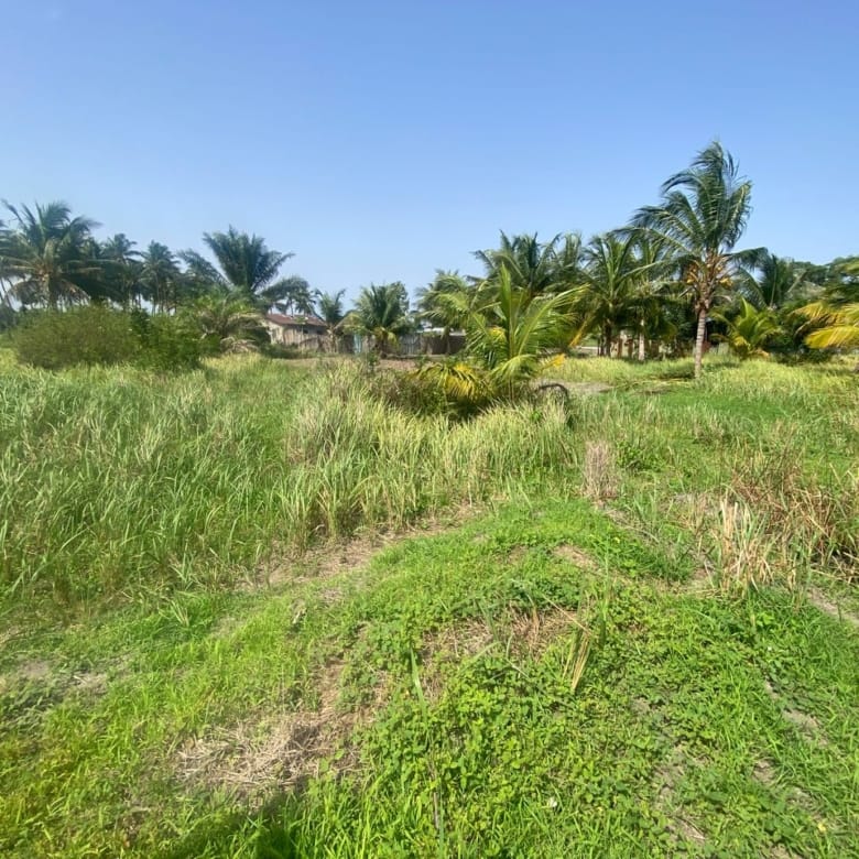 Domaine en Bord de Lagune à Vendre à Avlékété_13