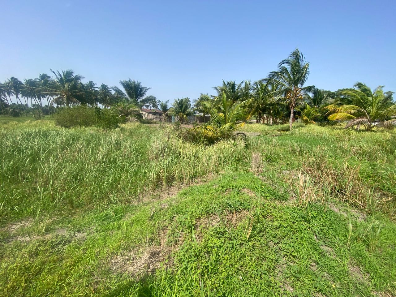 Domaine en Bord de Lagune à Vendre à Avlékété_13