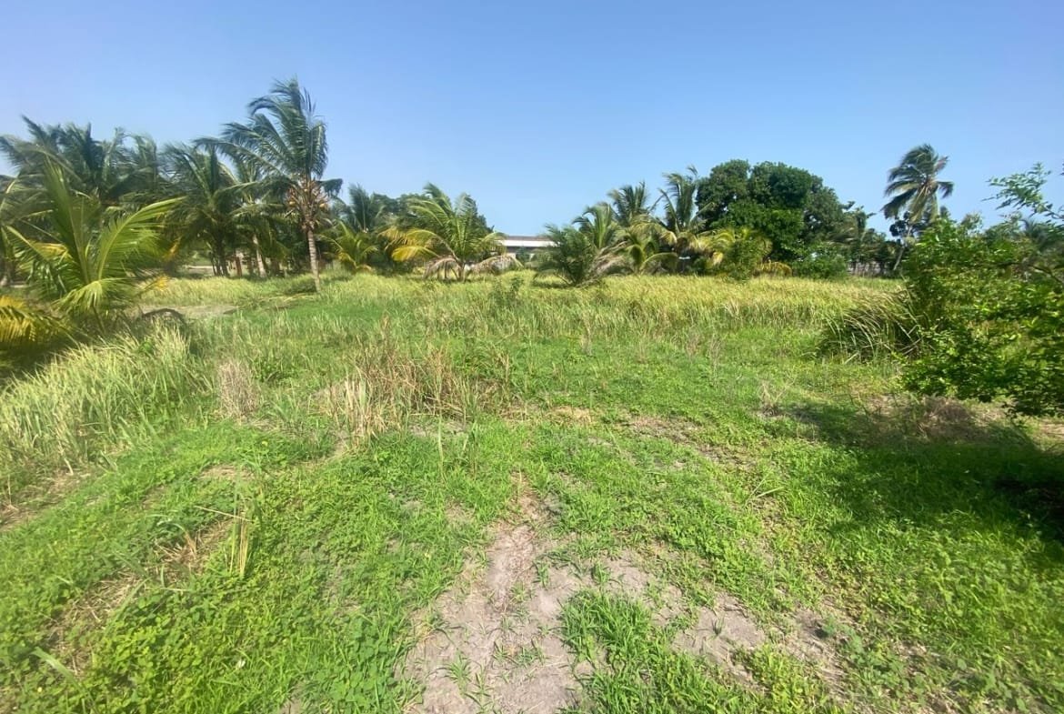 Domaine en Bord de Lagune à Vendre à Avlékété_3